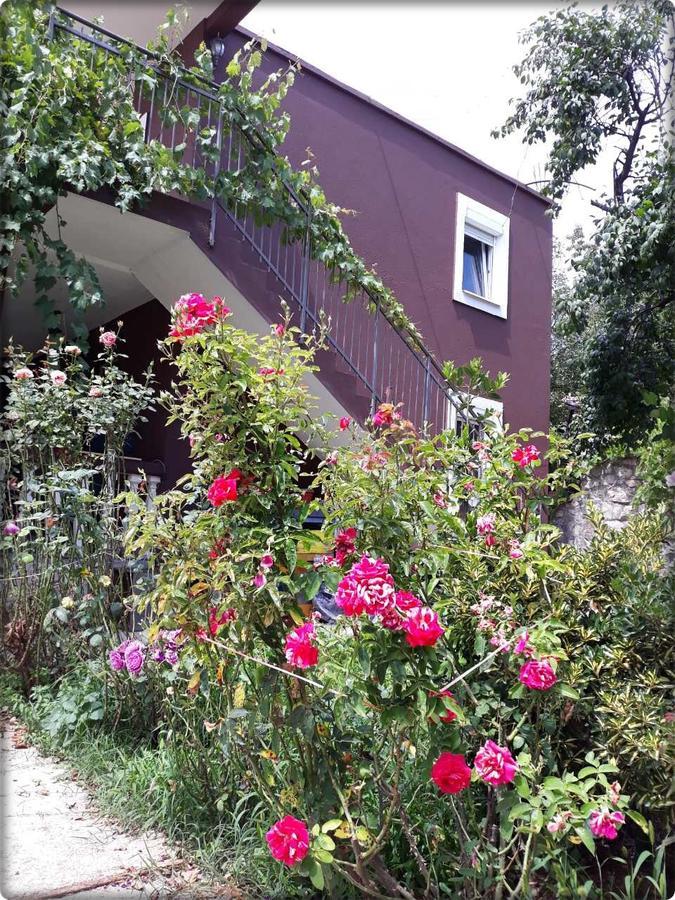 Apartmani Labovic Budva Exteriör bild